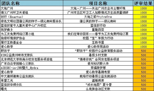 2013雏雁起飞—大学生公益行动激励计划结果公布